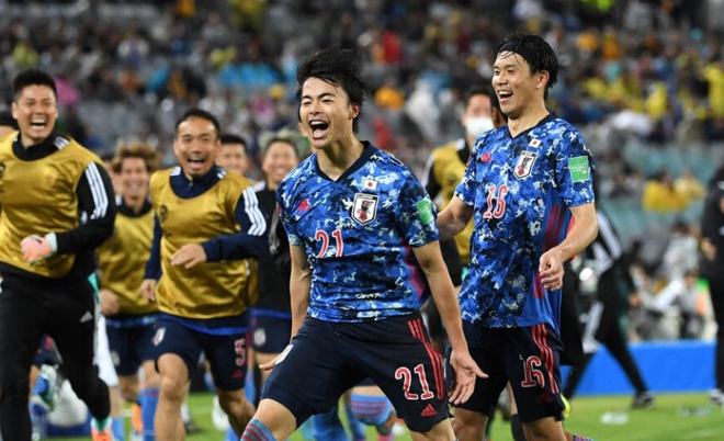 合同情况以